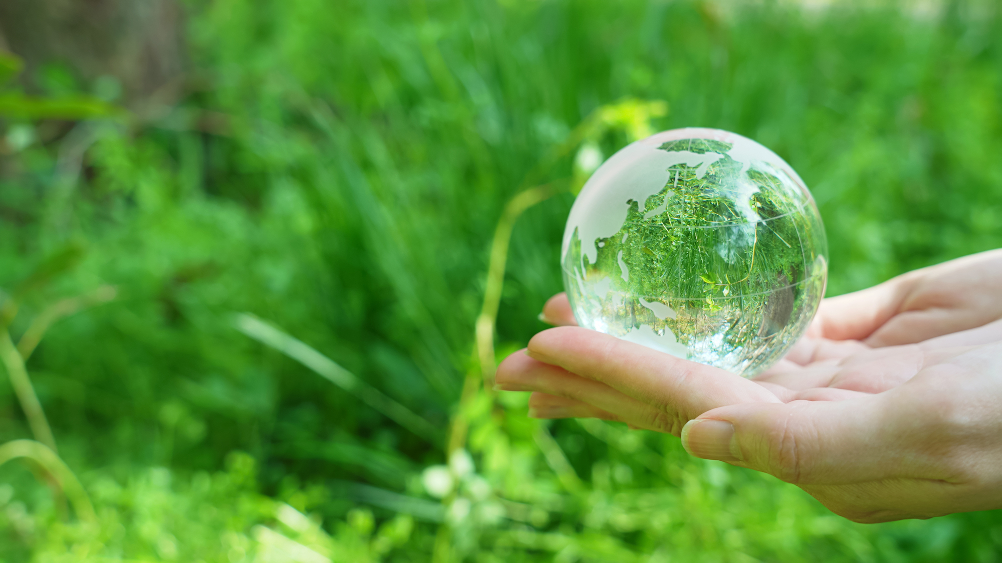 ESG投資とは？どんな商品があるのか